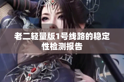 老二轻量版1号线路的稳定性检测报告