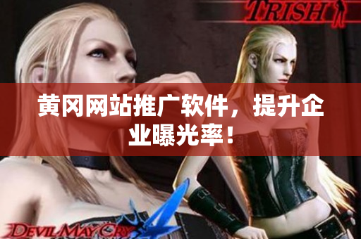 黄冈网站推广软件，提升企业曝光率！