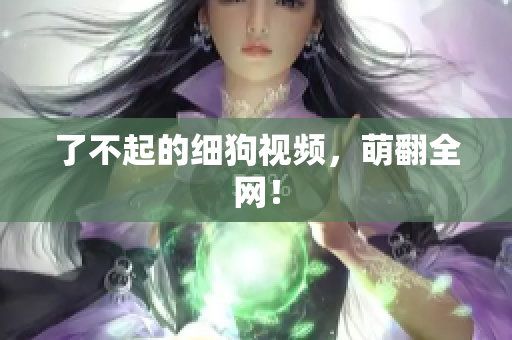 了不起的细狗视频，萌翻全网！