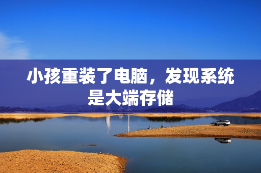 小孩重装了电脑，发现系统是大端存储