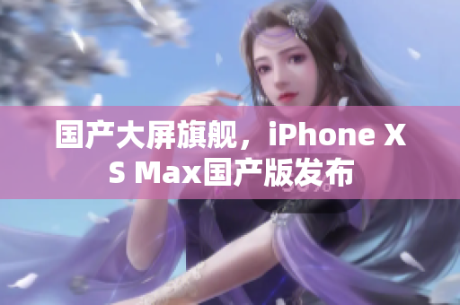国产大屏旗舰，iPhone XS Max国产版发布