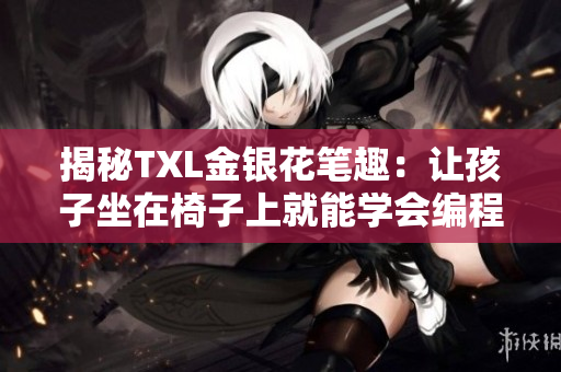 揭秘TXL金银花笔趣：让孩子坐在椅子上就能学会编程