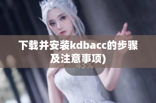 下载并安装kdbacc的步骤及注意事项)