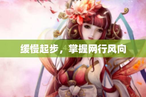 缓慢起步，掌握网行风向