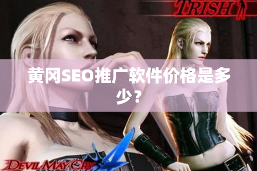 黄冈SEO推广软件价格是多少？