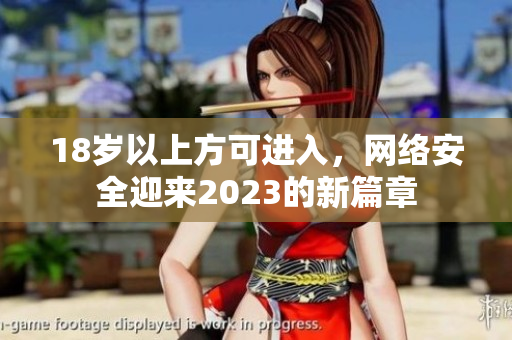 18岁以上方可进入，网络安全迎来2023的新篇章