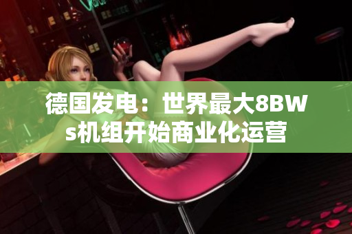 德国发电：世界最大8BWs机组开始商业化运营