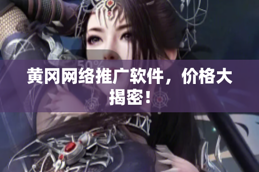 黄冈网络推广软件，价格大揭密！