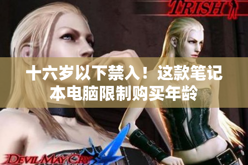 十六岁以下禁入！这款笔记本电脑限制购买年龄