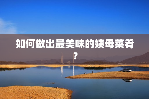 如何做出最美味的姨母菜肴？