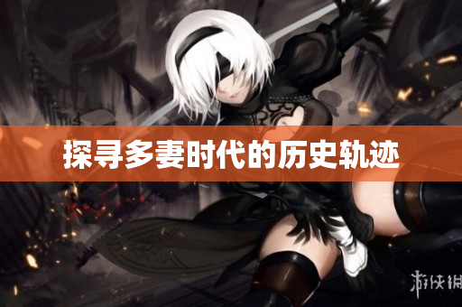 探寻多妻时代的历史轨迹