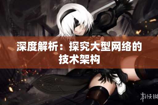 深度解析：探究大型网络的技术架构
