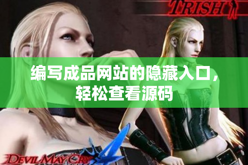 编写成品网站的隐藏入口，轻松查看源码
