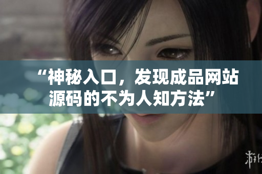 “神秘入口，发现成品网站源码的不为人知方法”