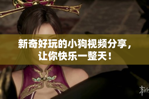 新奇好玩的小狗视频分享，让你快乐一整天！
