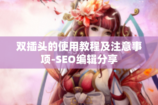 双插头的使用教程及注意事项-SEO编辑分享