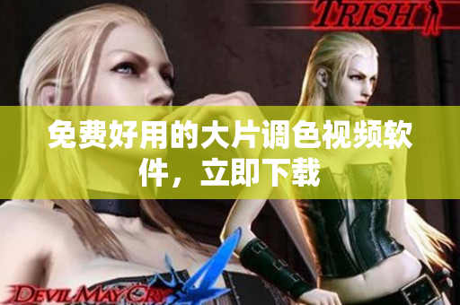 免费好用的大片调色视频软件，立即下载