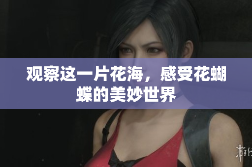 观察这一片花海，感受花蝴蝶的美妙世界