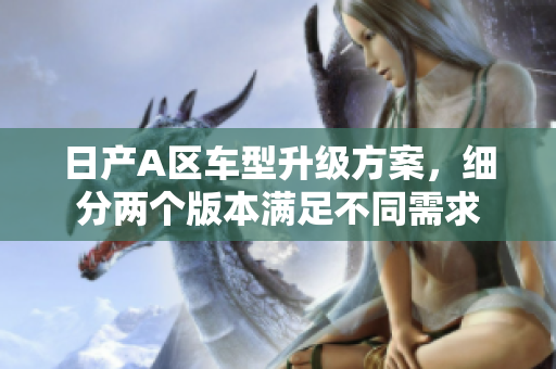 日产A区车型升级方案，细分两个版本满足不同需求