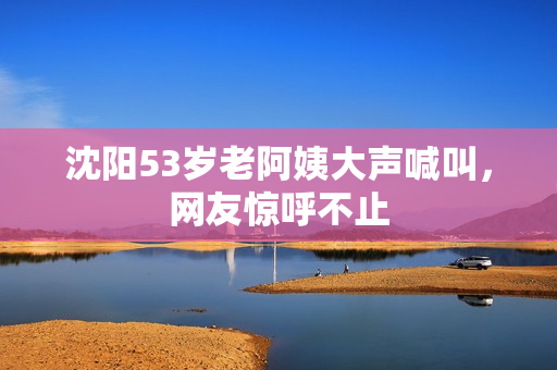 沈阳53岁老阿姨大声喊叫，网友惊呼不止