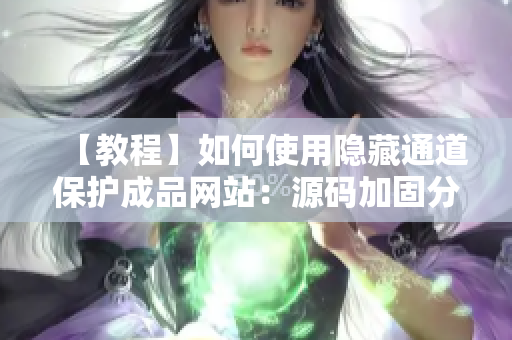【教程】如何使用隐藏通道保护成品网站：源码加固分享