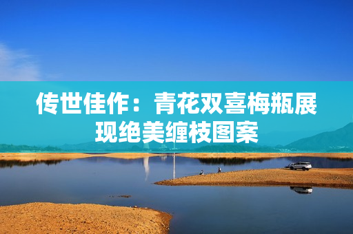 传世佳作：青花双喜梅瓶展现绝美缠枝图案