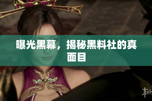 曝光黑幕，揭秘黑料社的真面目