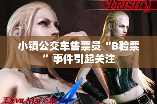 小镇公交车售票员“B验票”事件引起关注