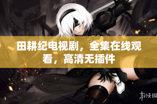 田耕纪电视剧，全集在线观看，高清无插件