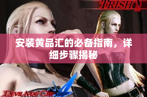 安装黄品汇的必备指南，详细步骤揭秘