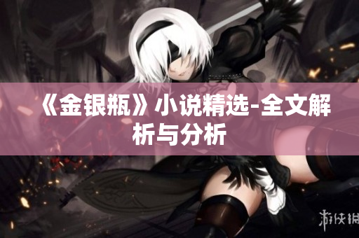 《金银瓶》小说精选-全文解析与分析