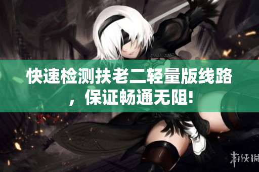 快速检测扶老二轻量版线路，保证畅通无阻!