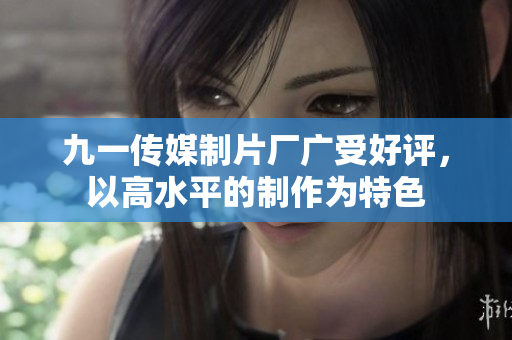 九一传媒制片厂广受好评，以高水平的制作为特色