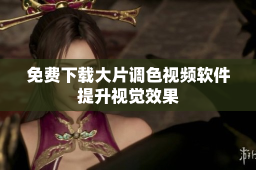 免费下载大片调色视频软件提升视觉效果