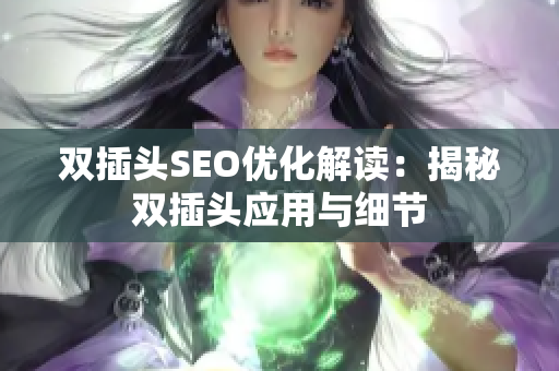 双插头SEO优化解读：揭秘双插头应用与细节