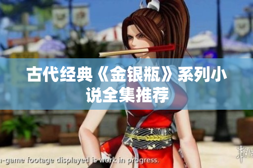 古代经典《金银瓶》系列小说全集推荐