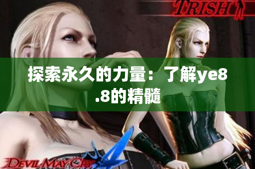 探索永久的力量：了解ye8.8的精髓