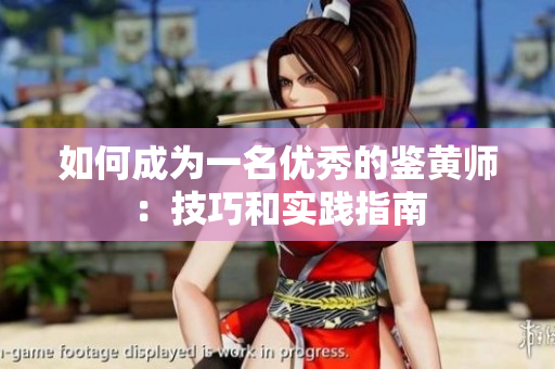 如何成为一名优秀的鉴黄师：技巧和实践指南
