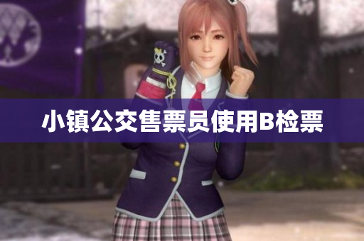 小镇公交售票员使用B检票