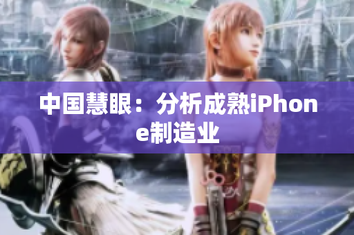中国慧眼：分析成熟iPhone制造业