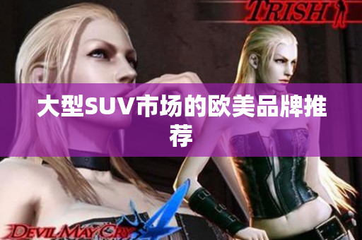 大型SUV市场的欧美品牌推荐