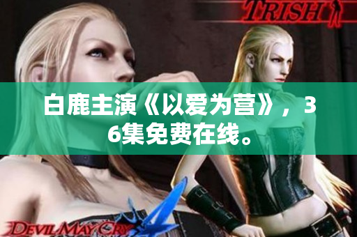白鹿主演《以爱为营》，36集免费在线。