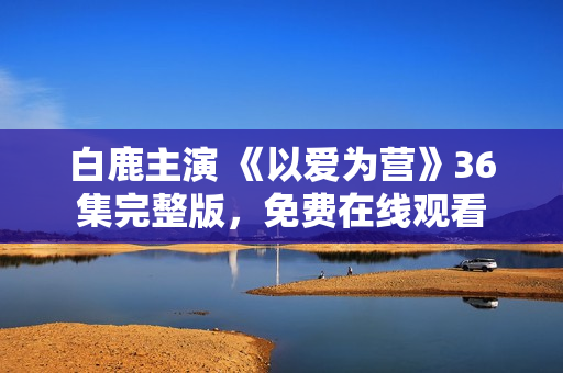 白鹿主演 《以爱为营》36集完整版，免费在线观看