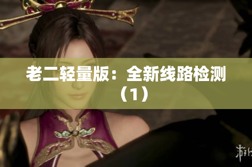 老二轻量版：全新线路检测（1）