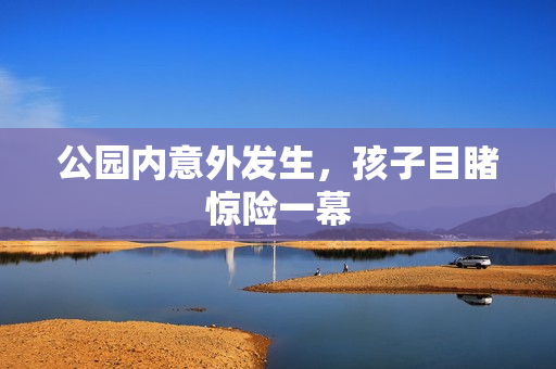公园内意外发生，孩子目睹惊险一幕