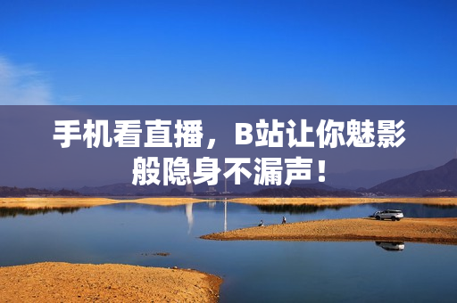 手机看直播，B站让你魅影般隐身不漏声！