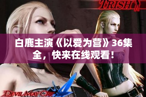 白鹿主演《以爱为营》36集全，快来在线观看！