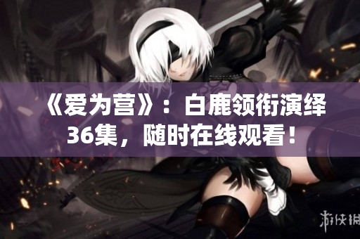 《爱为营》：白鹿领衔演绎36集，随时在线观看！