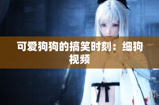 可爱狗狗的搞笑时刻：细狗视频