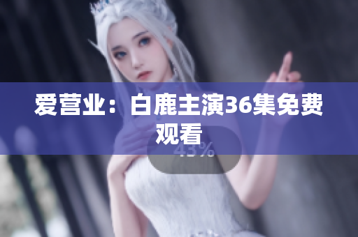 爱营业：白鹿主演36集免费观看